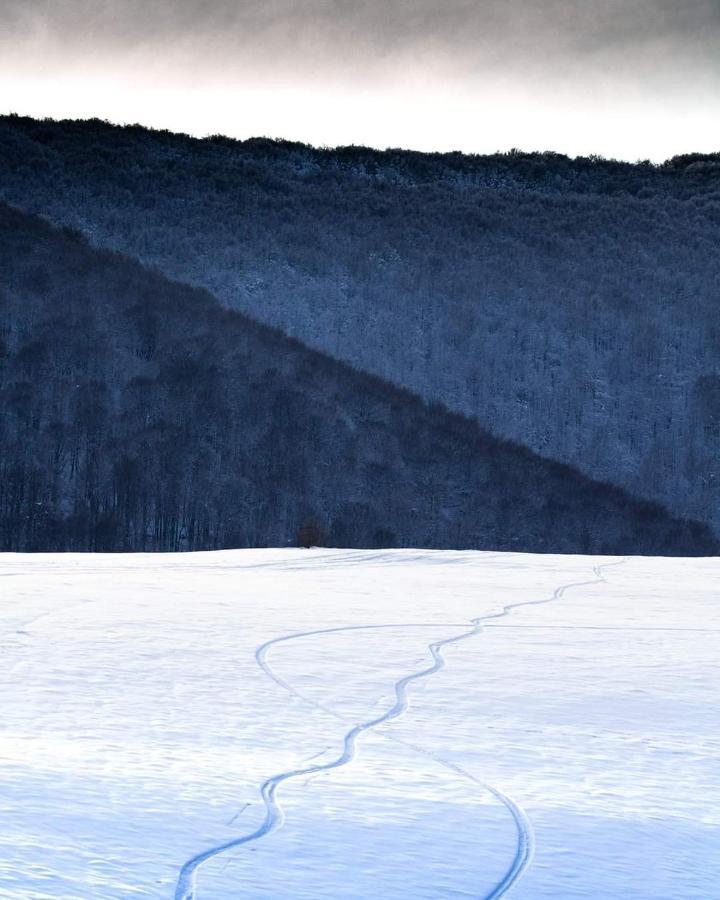 Domek Nad Sanem Zagorz Экстерьер фото