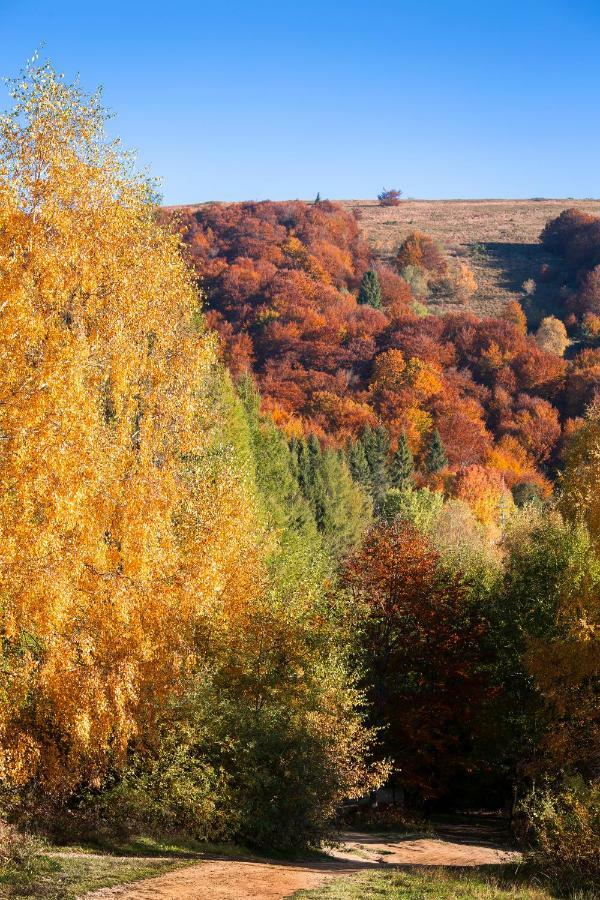 Domek Nad Sanem Zagorz Экстерьер фото